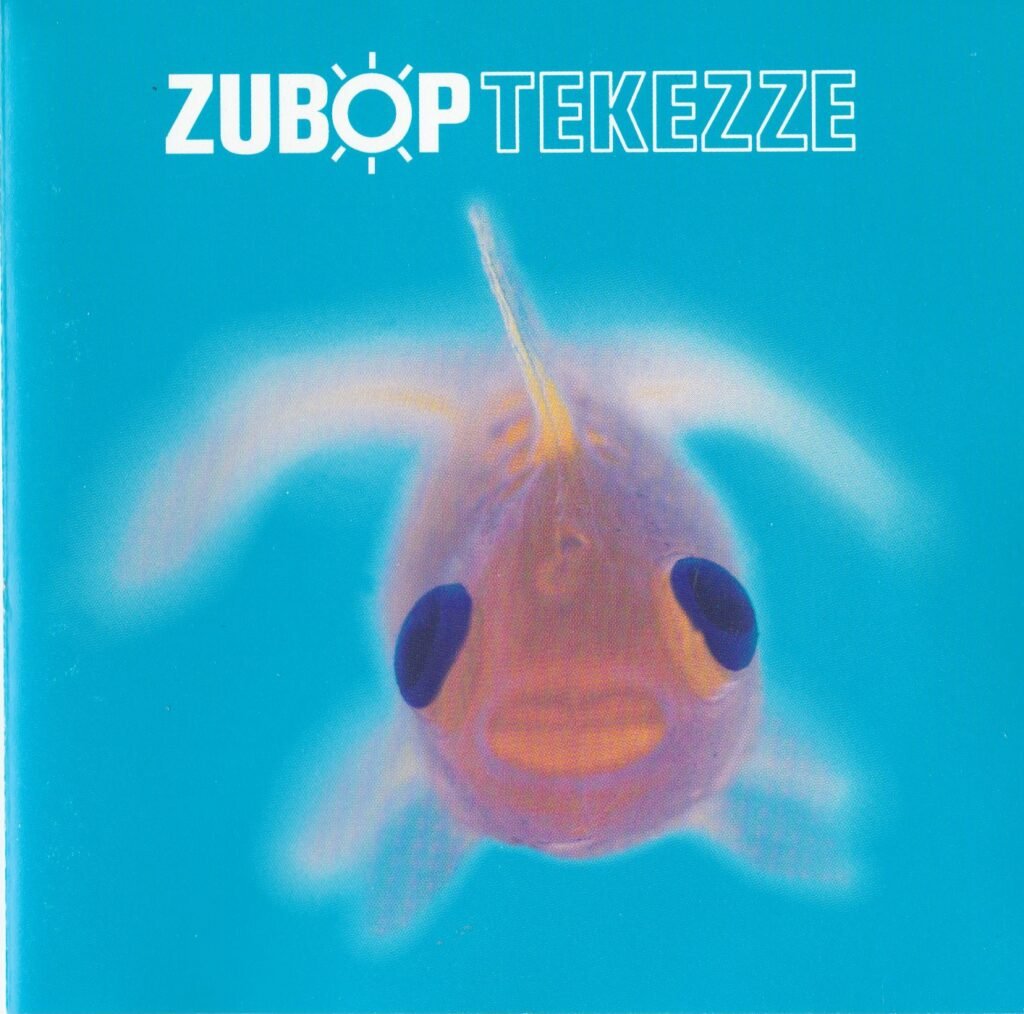 tekezze front scan